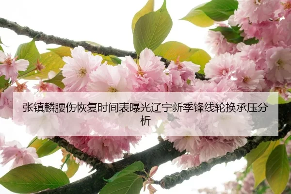 张镇麟腰伤恢复时间表曝光辽宁新季锋线轮换承压分析（HTH Sports）