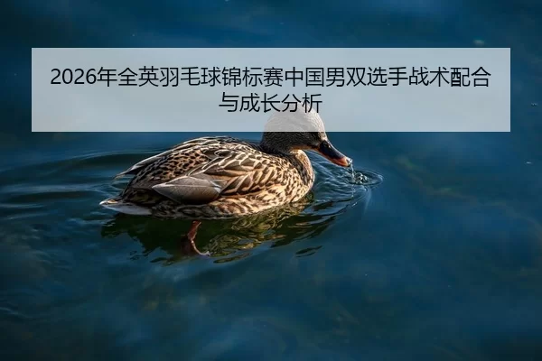 nian-quan-ying-yu-mao-qiu-jin-biao-sai-zhong-guo-nan-shuang-xuan-shou-zhan-shu-pei-he-yu-cheng-zhang-fen-xi-2-933.jpg