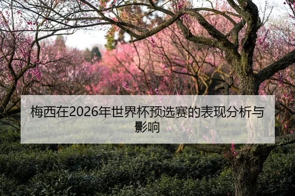 梅西在2026年世界杯预选赛的表现分析与影响（HTH Sports）
