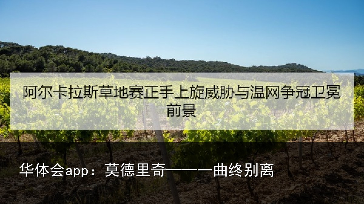 华体会app:莫德里奇——一曲终别离