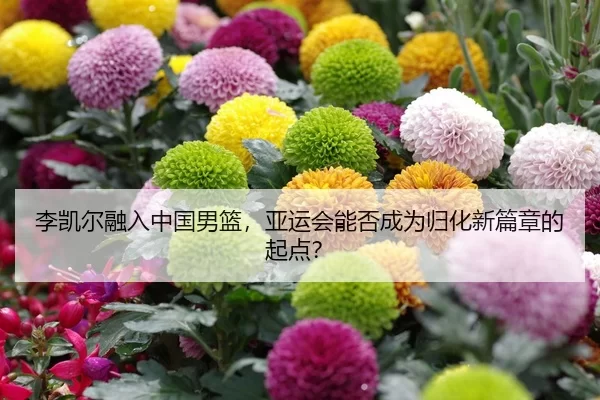 李凯尔融入中国男篮，亚运会能否成为归化新篇章的起点？
