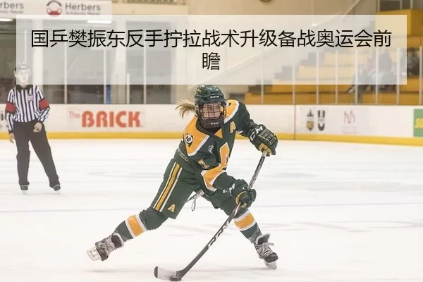 国乒樊振东反手拧拉战术升级备战奥运会前瞻