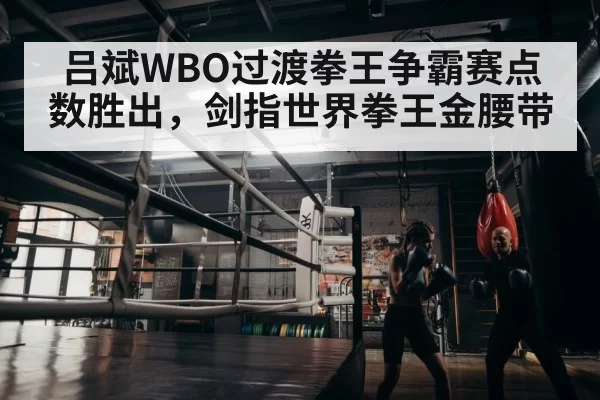 boxer training