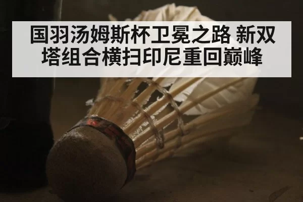 国羽汤姆斯杯卫冕之路 新双塔组合横扫印尼重回巅峰