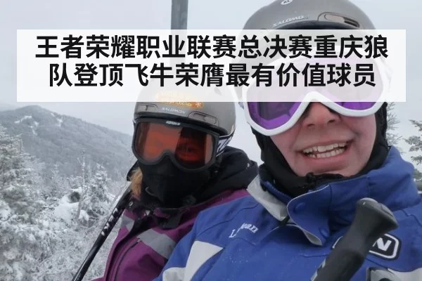 王者荣耀职业联赛总决赛重庆狼队登顶飞牛荣膺最有价值球员